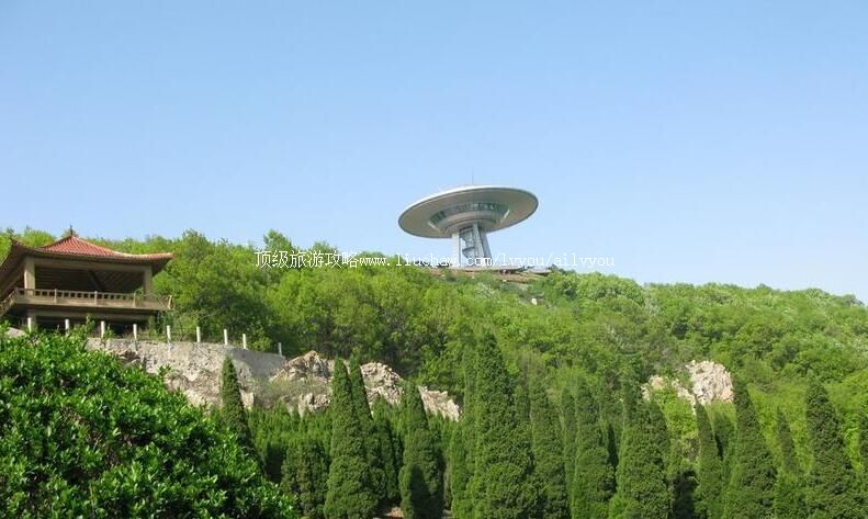 ����ͯţ�����ι���