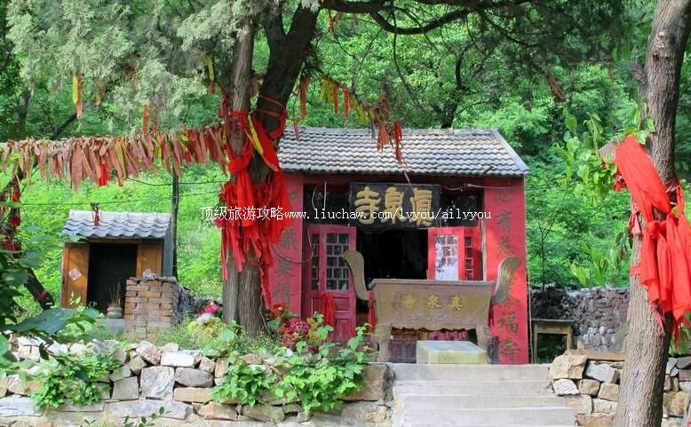 ������˳����Ȫ�����ι���