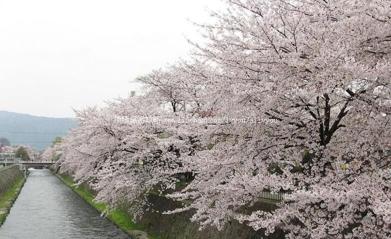 ����������ӣ��԰���ι���