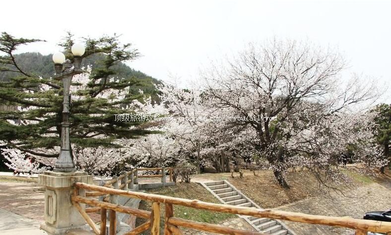 ����������ˮ�����ι���