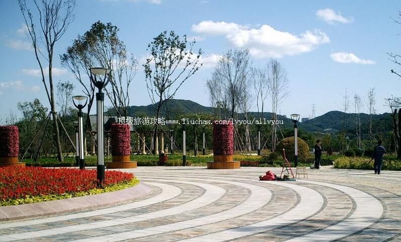 4A������������ɭ�ֹ�԰���ι���