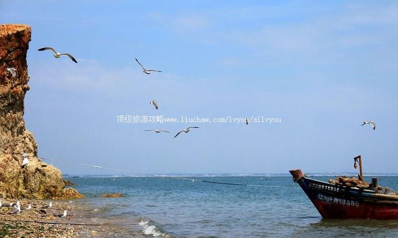 4A大连成山头海滨地貌国家级自然保护区旅游攻略