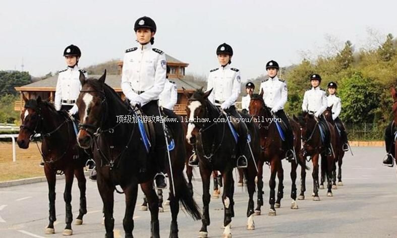 3A����Ů���ﾯ�������ι���