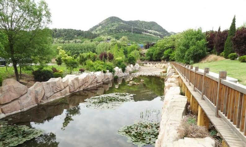 3A���������¹���ɭ�ֹ�԰���ι���