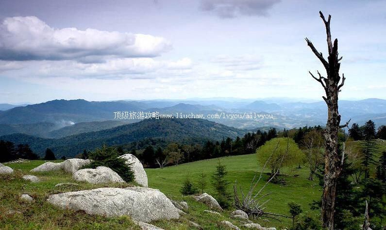 ����������ͺ���ӹ��Ҽ���Ȼ���������ι���