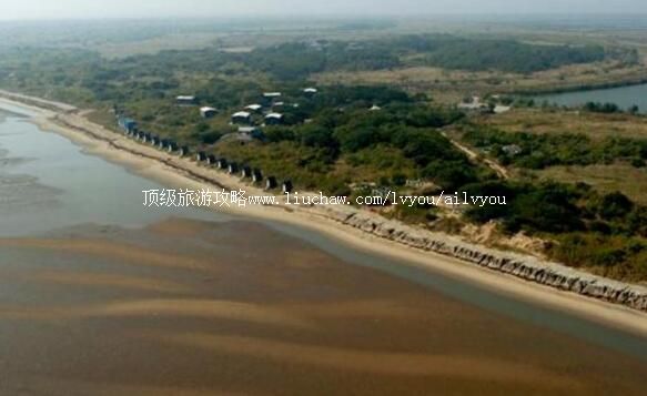 4A�ӱ���ͤ���ᵺ���ι���