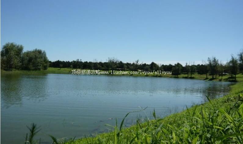 1A台安西平森林公园旅游攻略