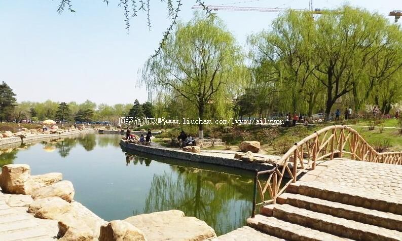 ����ĵ��԰���ι���