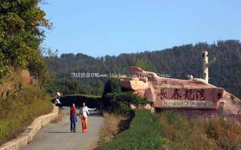 2A����������̬���������ι���