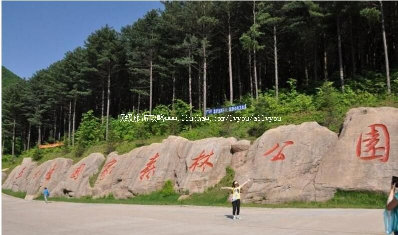 2A��Ů����Ҽ�ɭ�ֹ�԰���ι���