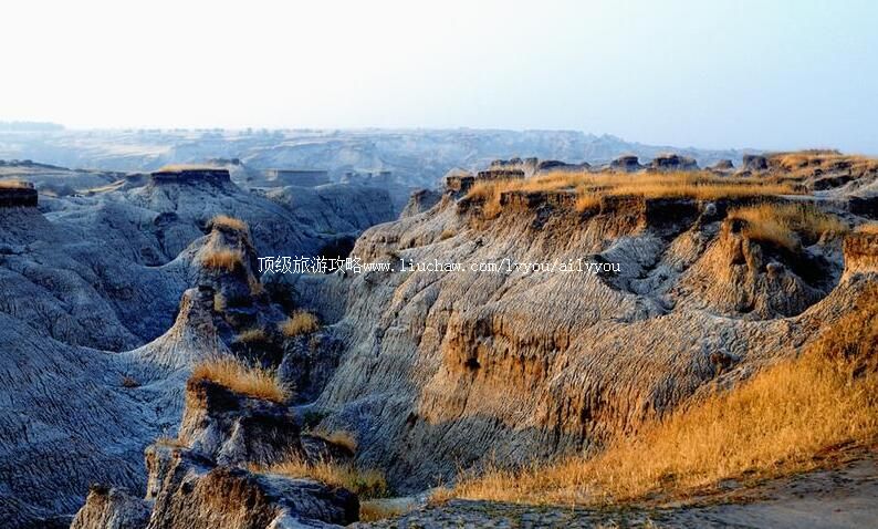 ���ִ��չ��Ҽ���Ȼ���������ι���