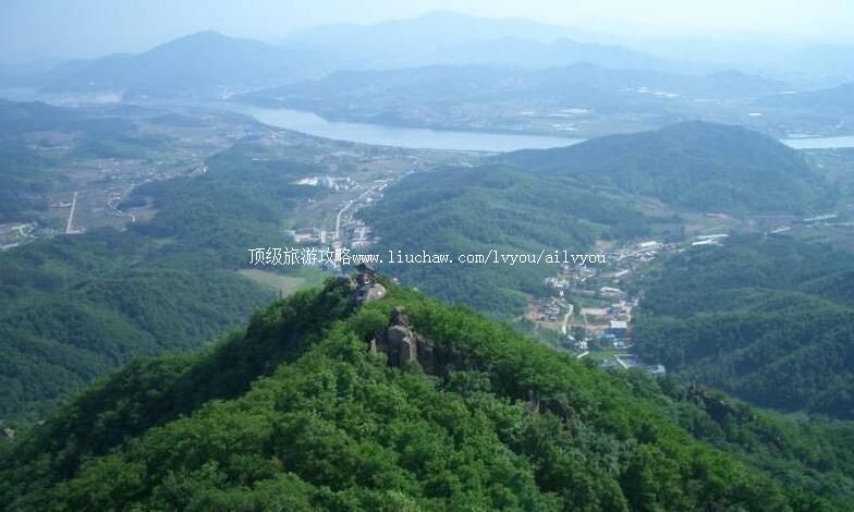 ������ȸɽ����ɭ�ֹ�԰���ι���