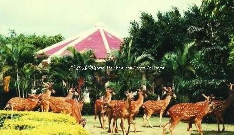 ��������̶ɽ¹�����ι���