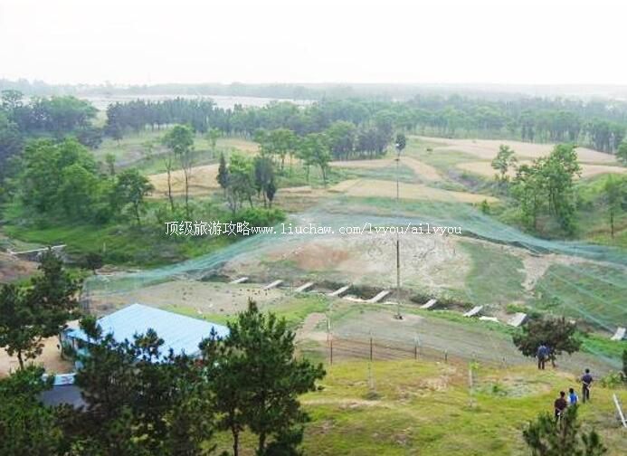 2A�������Ƹ۶�����Ȥ԰���ι���