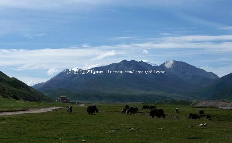 3A�ຣ��������ѩɽ���ι���