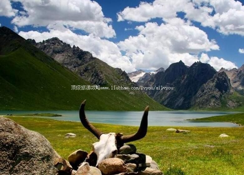 4A�ຣ�걦������ɽ���ι���