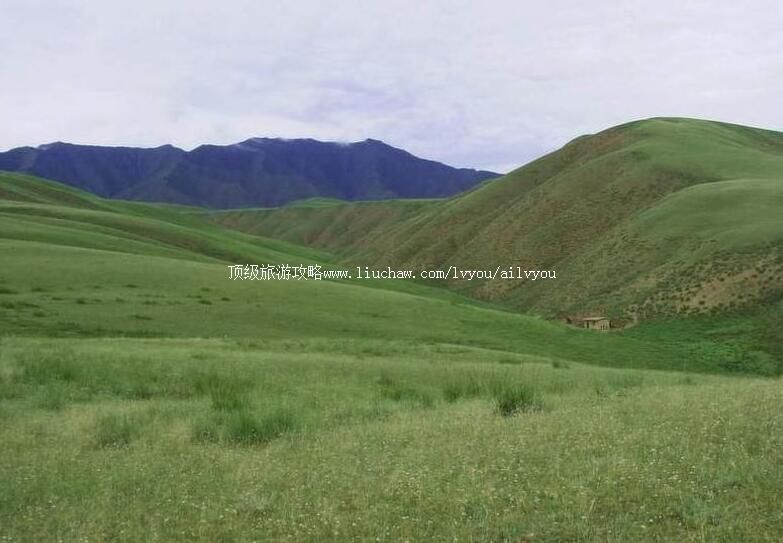 �ຣ����ɽ��ԭ���ι���