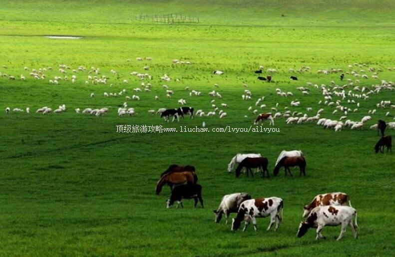 3A�ຣ����̲��ԭ���ι���