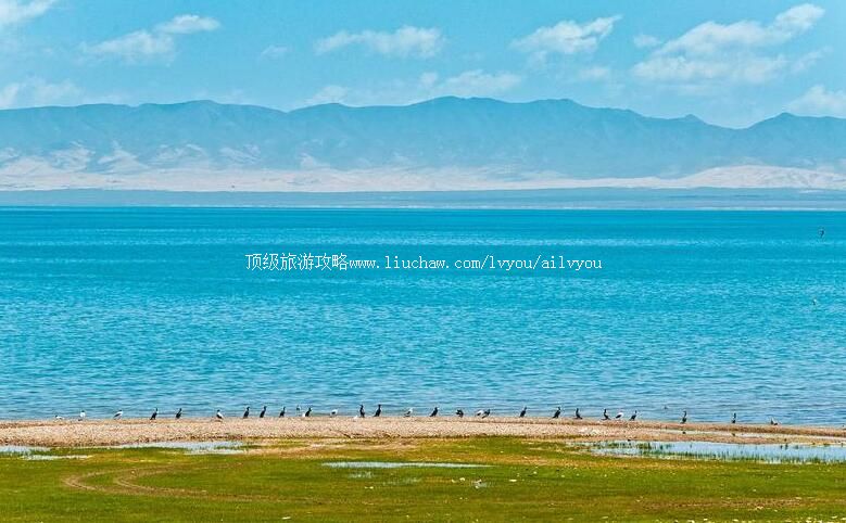 5A�ຣ�����ι���