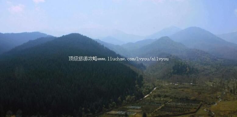 3A�ຣϿȺ��ɭ�ֹ�԰���ι���