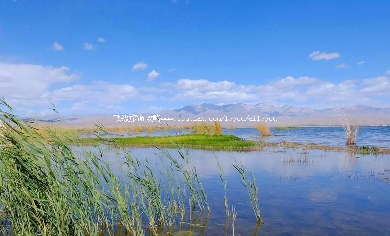 3A�ຣ���غ����ι���