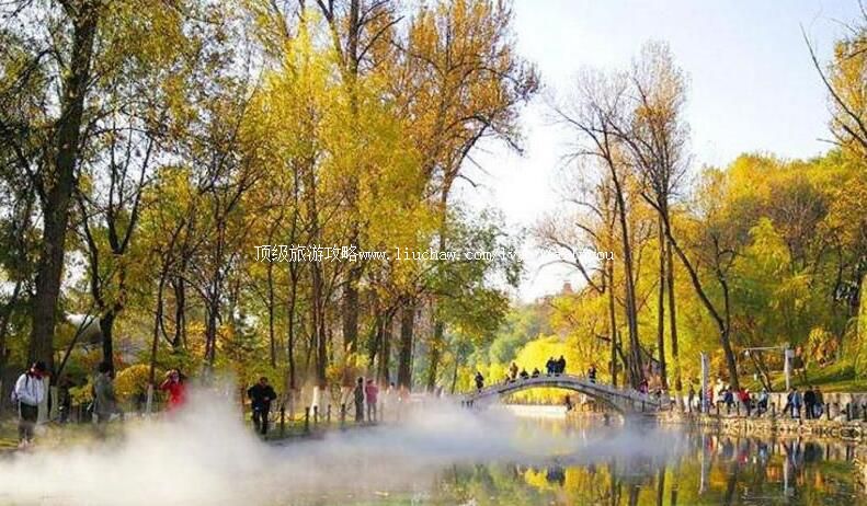 3A�ຣ���������幫԰���ι���