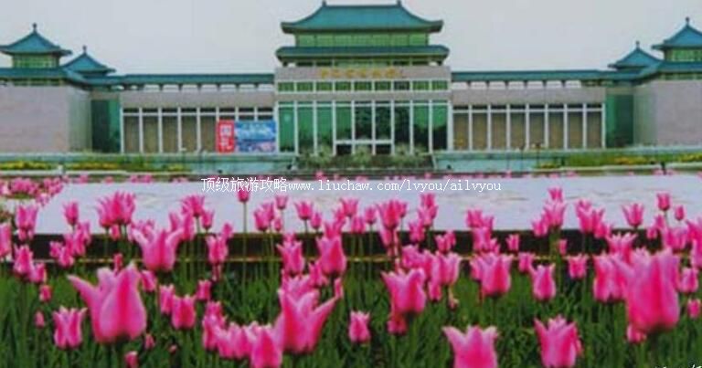 4A�ຣʡ��������ι���