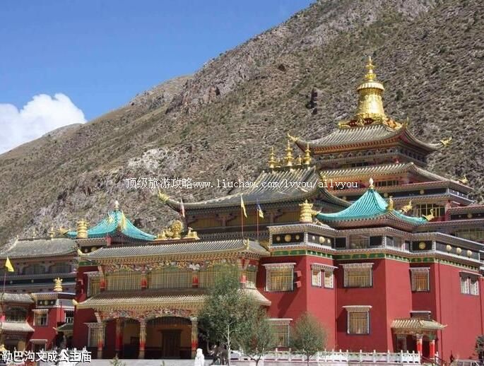 3A�ຣ�հ͹��ĳɹ��������ι���