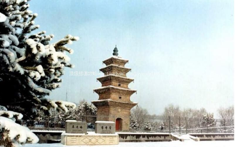 2A������ɽ��԰���ι���