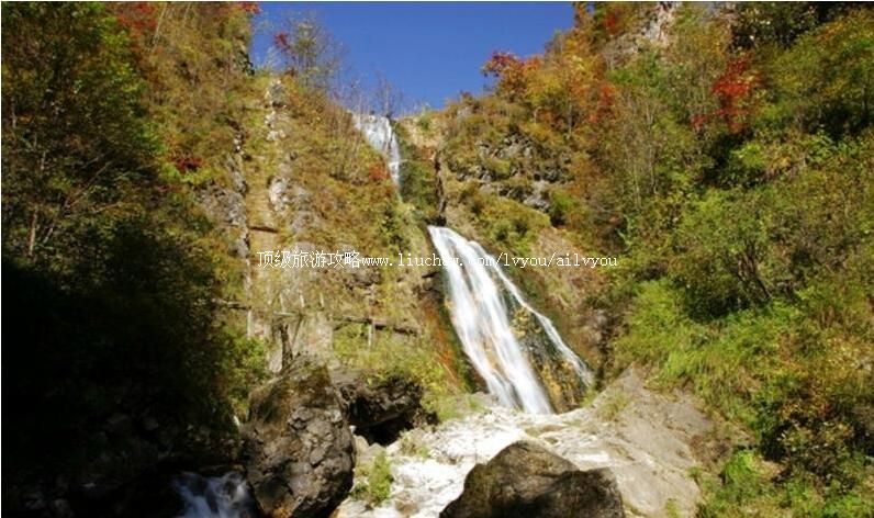 2A�ٽ���ɽ����ɭ�ֹ�԰���ι���