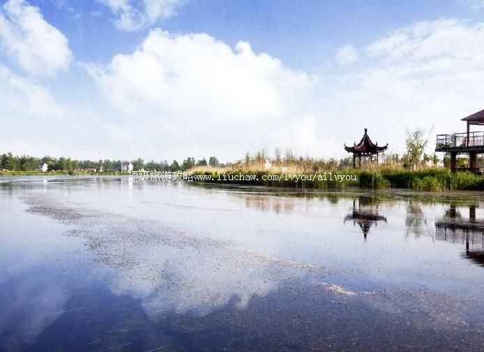 3A���չ��Ƴ�������̬԰���ι���