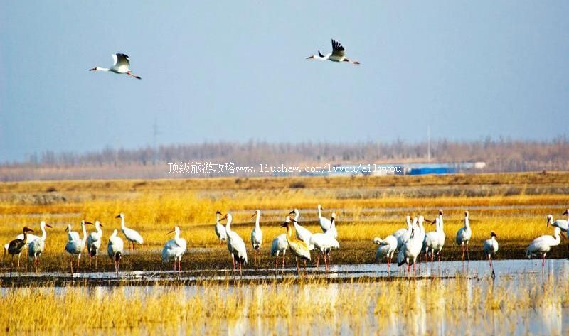 4A����ĪĪ����Ҽ���Ȼ���������ι���