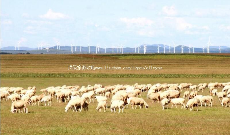 4A�׳ǲ�ɺ������ζȼ������ι���