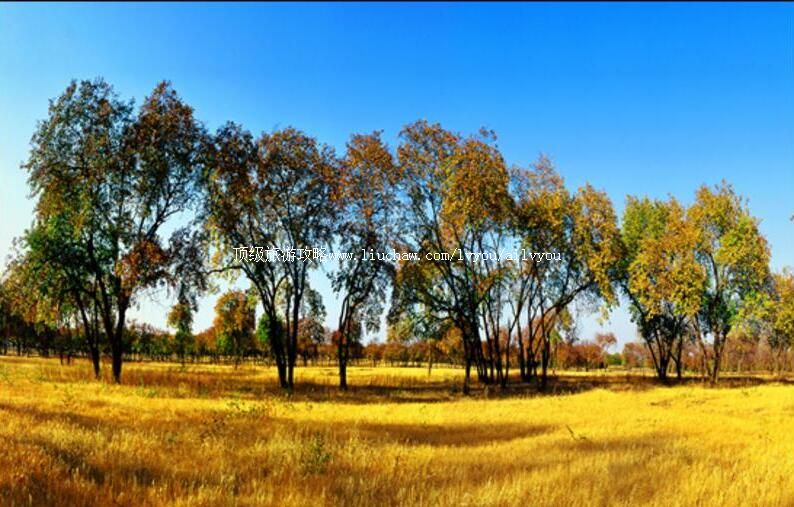 2A��¡ɽ���ܾ������ι���