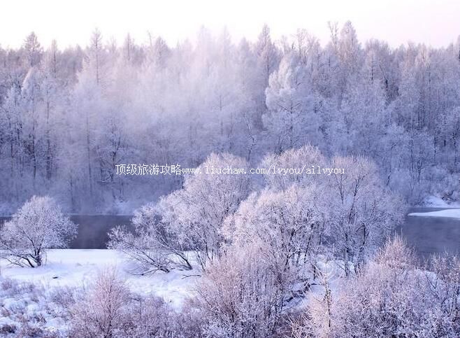 黑龙江红星湿地国家级自然保护区旅游攻略