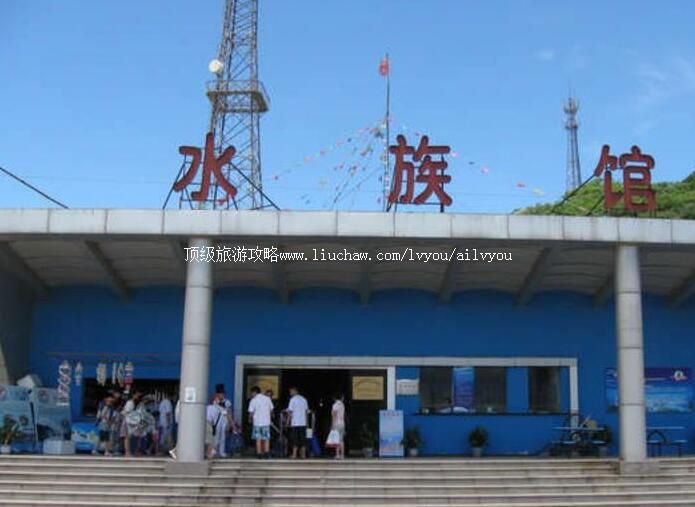 4A�������Ƹ����������������ι���