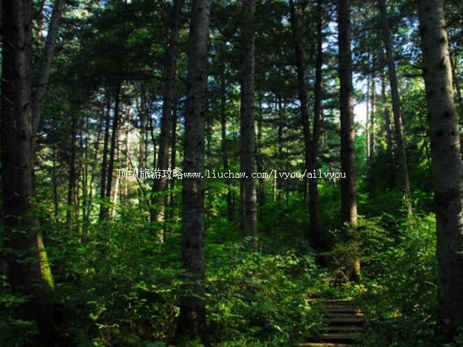 2A������ɽ�羰�����ι���