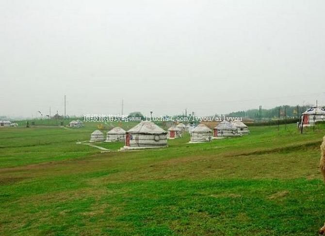 2A�����Ͼ�����ɽ��ţ��԰�������ι���