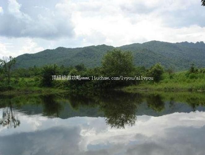 2A����������̬���������ι���