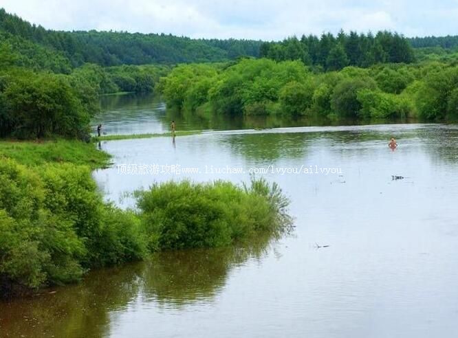 3A�찲����ɽ����ɭ�ֹ�԰���ι���