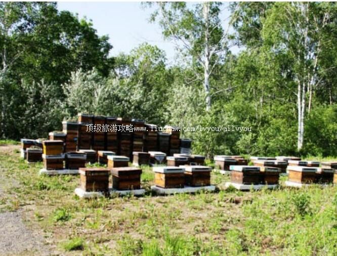 �ĺӶ����ڷ���Ҽ���Ȼ���������ι���