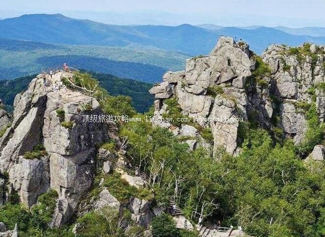 3A�������Ƿ����ɭ�ֹ�԰���ι���