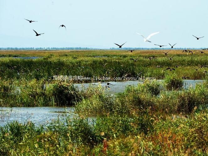 3A�������Ǻ�ʪ����̬���������ι���