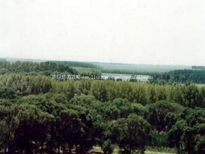 2A��������������Գ����ι���