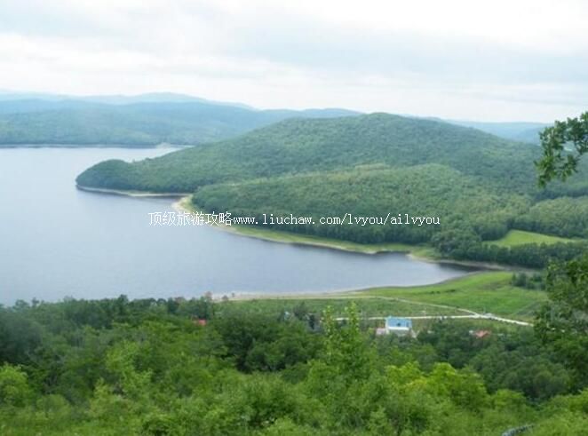 穆棱东北红豆杉国家级自然保护区旅游攻略