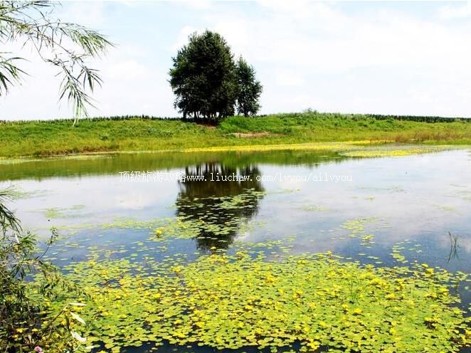 ��ľ˹���������ι���