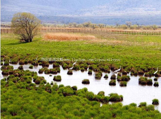 黑龙江三江国家级自然保护区旅游攻略