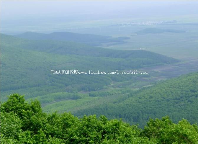 2A�����嶥ɽ����ɭ�ֹ�԰���ι���