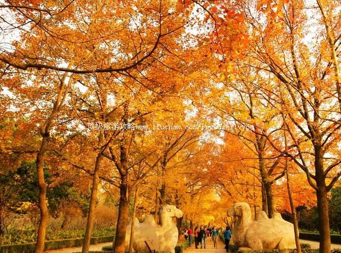 5A江苏南京明孝陵旅游攻略