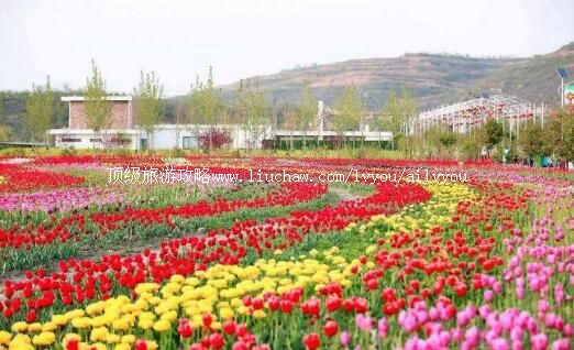 4A�ӱ�ɳ�Ӻ�ʯ��������̬ũ�����ι���